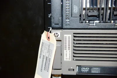 DSC_1355 (Large).JPG